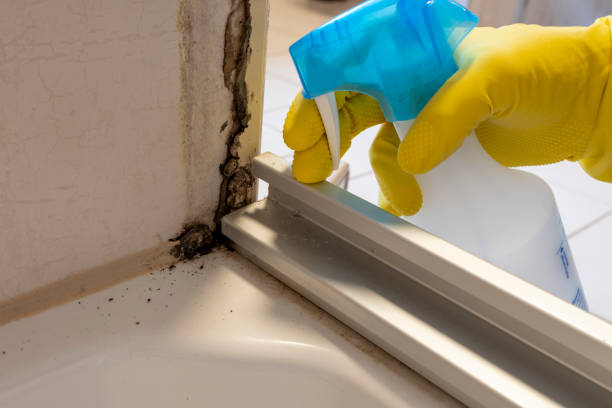 Best Office Mold Removal Services  in Onalaska, TX