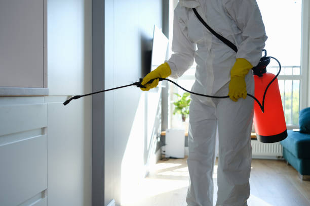 Mold Testing and Removal in Onalaska, TX