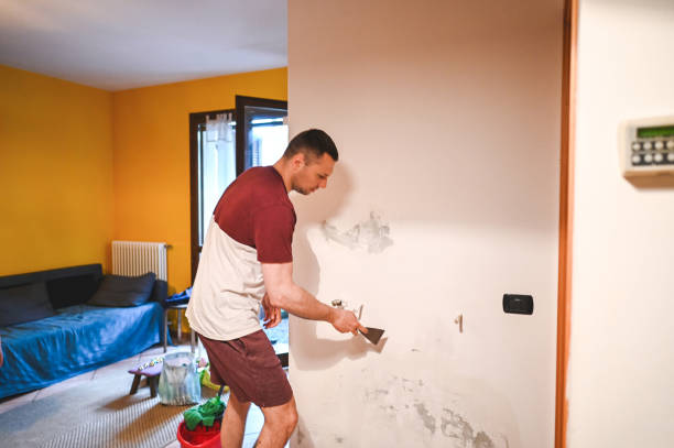Best Local Mold Removal Service  in Onalaska, TX