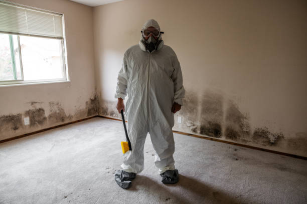 Best Crawl Space Mold Removal  in Onalaska, TX